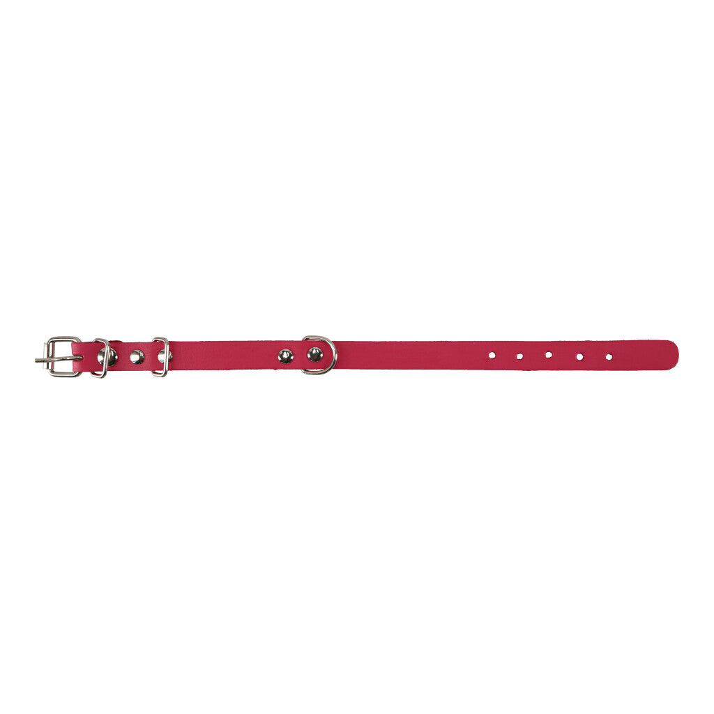 COLLAR DE CUERO PARA MASCOTAS SIN COSTURA