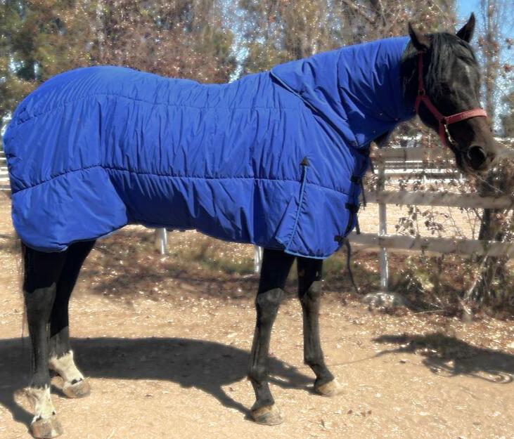 CAPAS PARA CABALLOS