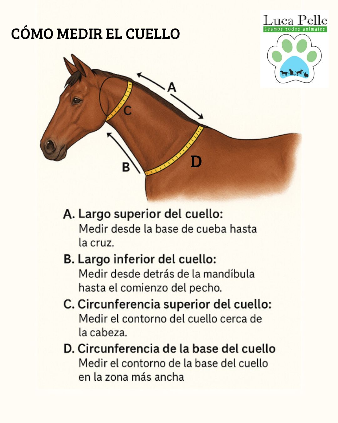 CUELLOS PARA POTRILLOS