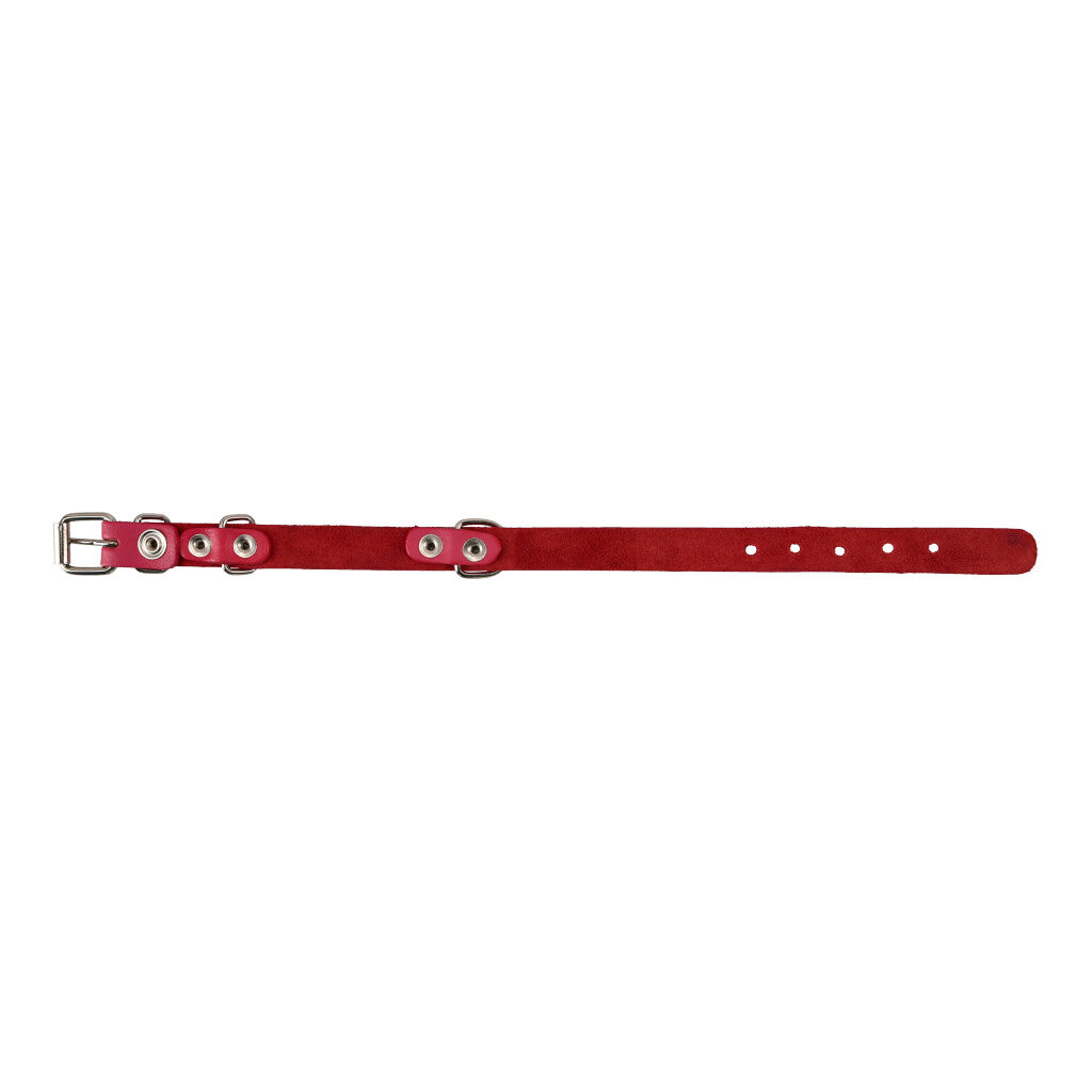 COLLAR DE CUERO PARA MASCOTAS SIN COSTURA