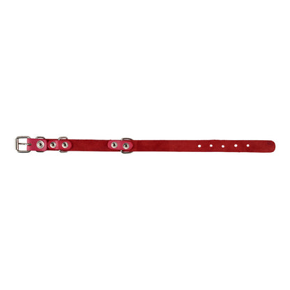 COLLAR DE CUERO PARA MASCOTAS SIN COSTURA