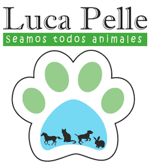 Luca Pelle
