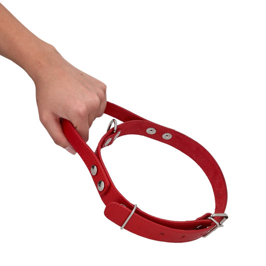 COLLAR DE CUERO PARA MASCOTAS CON MULTIAGARRE