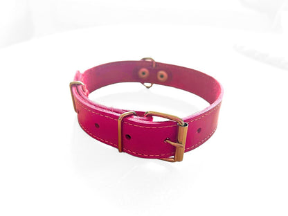 COLLAR PARA MASCOTAS DE CUERO NATURAL CON COSTURAS