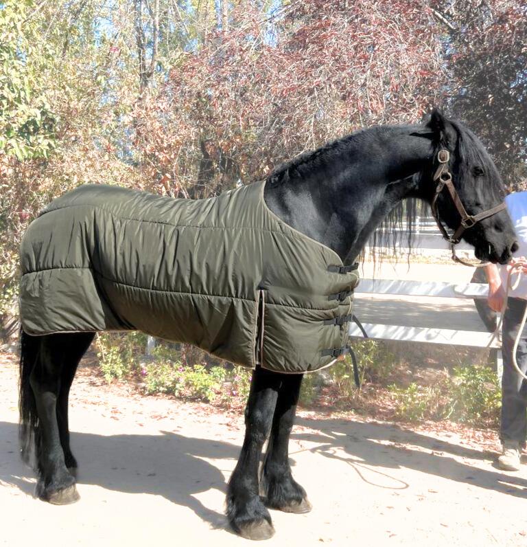 CAPAS PARA CABALLOS