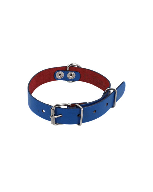 COLLAR PARA MASCOTAS DE CUERO NATURAL DE SUELA